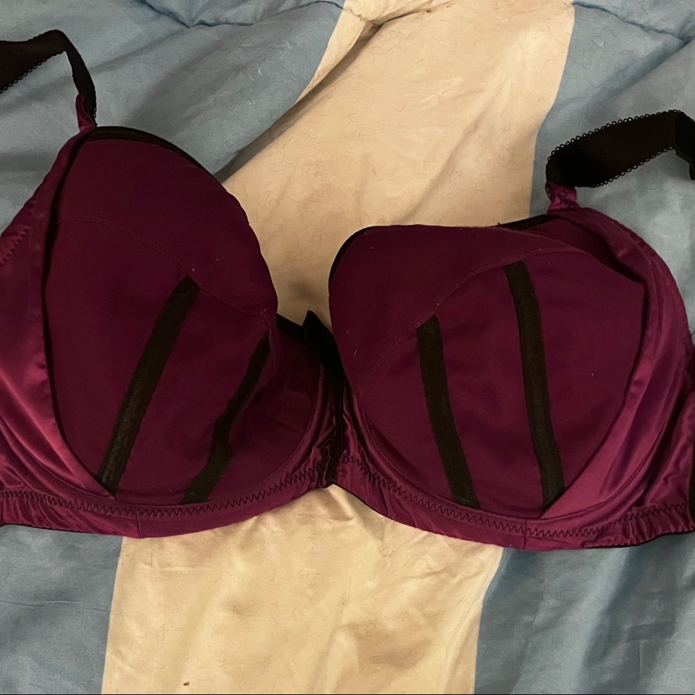 EUC! Parfait Charlotte Bra 32H 32K